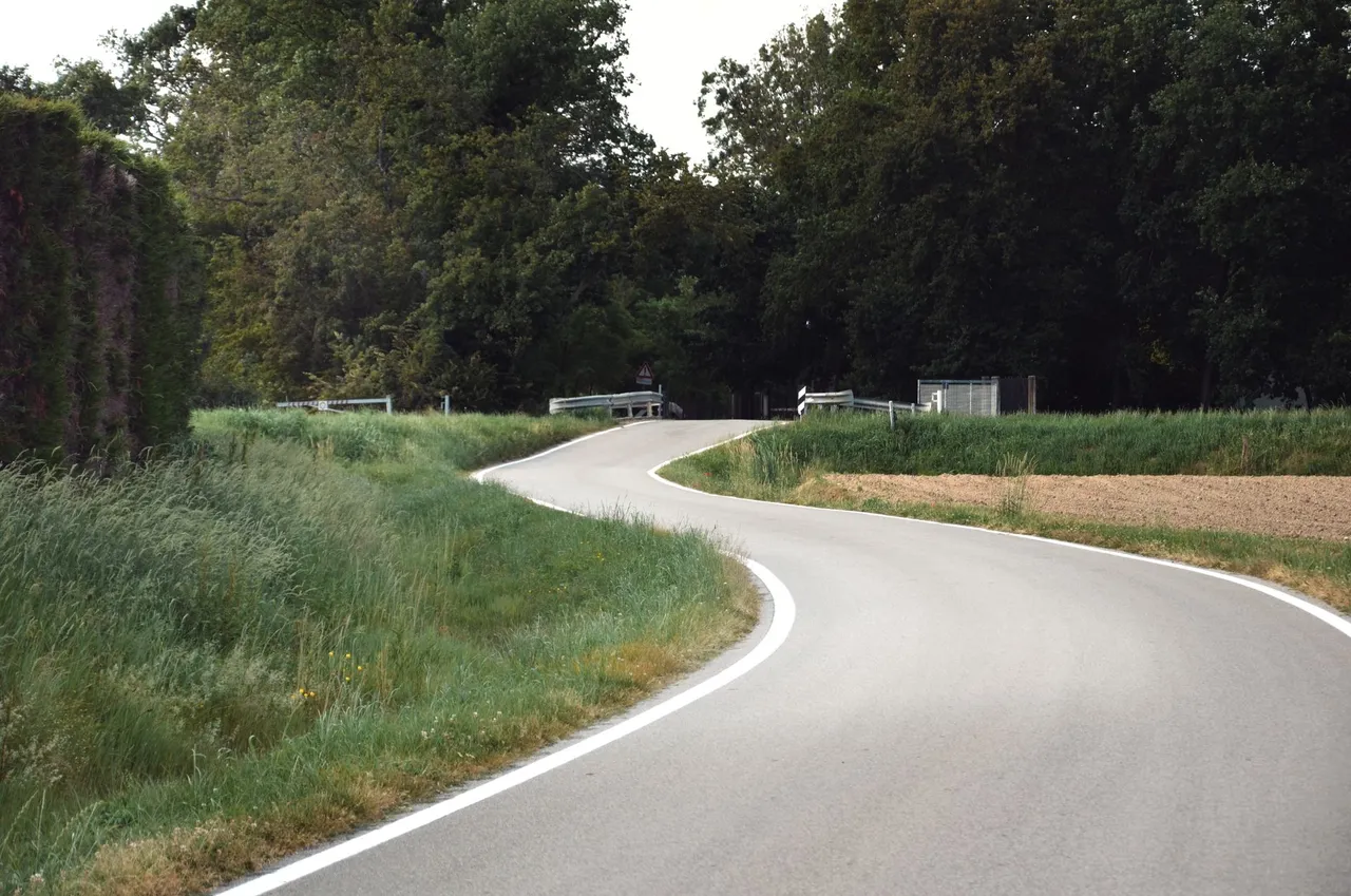 Situation de la question : Virage masqué par des arbres. Je ralentis